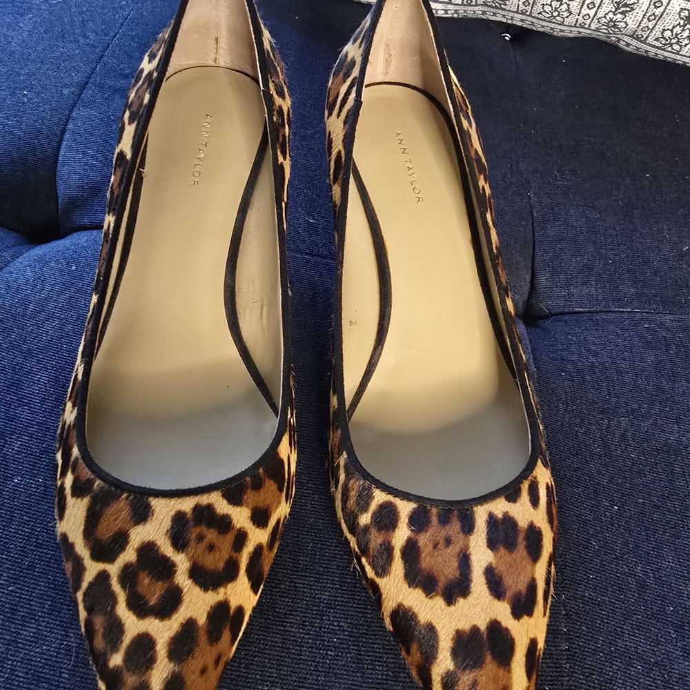 Ann Taylor Leopard-Print Pointed Flats in Brown and Black